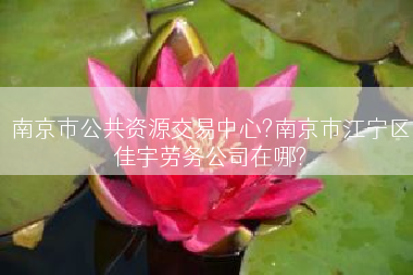 南京市公共资源交易中心?南京市江宁区佳宇劳务公司在哪?