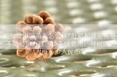 新加坡出国劳务怎么样?赴新加坡劳务是不是公司办理出境手续费用，可以吗？大概多少人民币?