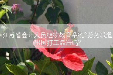 江苏省会计人员继续教育系统?劳务派遣出国打工靠谱吗?