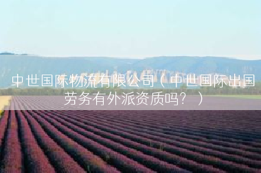 中世国际物流有限公司（中世国际出国劳务有外派资质吗？）