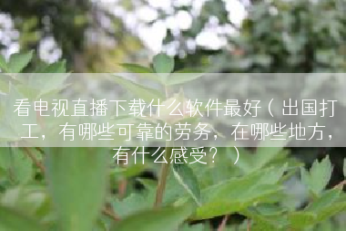 看电视直播下载什么软件最好（出国打工，有哪些可靠的劳务，在哪些地方，有什么感受？）