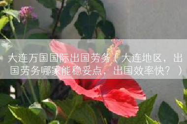 大连万国国际出国劳务（大连地区，出国劳务哪家能稳妥点，出国效率快？）