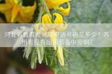 河北省教育考试院电话号码是多少？苏州有没有出国劳务中介啊？