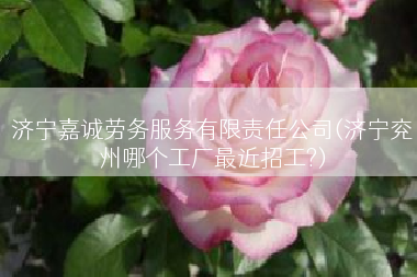 济宁嘉诚劳务服务有限责任公司(济宁兖州哪个工厂最近招工?)