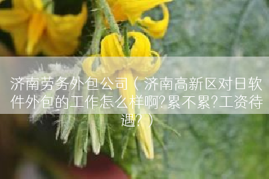 济南劳务外包公司（济南高新区对日软件外包的工作怎么样啊?累不累?工资待遇?）