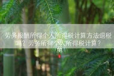 劳务报酬所得个人所得税计算方法退税吗？劳务所得个人所得税计算？