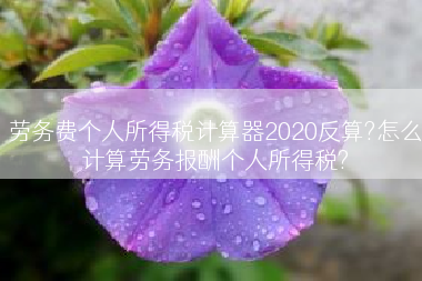 劳务费个人所得税计算器2020反算?怎么计算劳务报酬个人所得税?