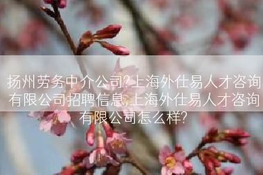 扬州劳务中介公司?上海外仕易人才咨询有限公司招聘信息,上海外仕易人才咨询有限公司怎么样?
