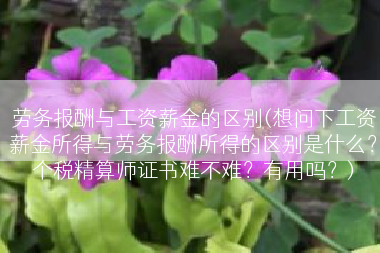 劳务报酬与工资薪金的区别(想问下工资薪金所得与劳务报酬所得的区别是什么？个税精算师证书难不难？有用吗？)