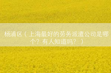 杨浦区（上海最好的劳务派遣公司是哪个？有人知道吗？）