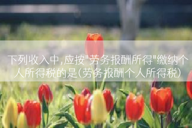 下列收入中,应按