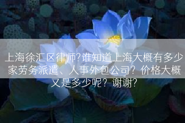 上海徐汇区律师?谁知道上海大概有多少家劳务派遣、人事外包公司？价格大概又是多少呢？谢谢?