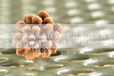 施工劳务资质办理条件新政策(建筑施工企业可以申请劳务资质么？ 总包三级的新企业。。。。)