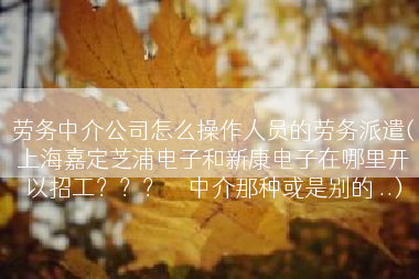 劳务中介公司怎么操作人员的劳务派遣(上海嘉定芝浦电子和新康电子在哪里开以招工？？？　　中介那种或是别的 ..)