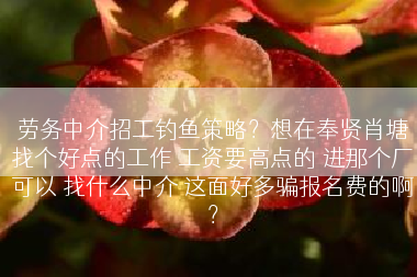 劳务中介招工钓鱼策略？想在奉贤肖塘找个好点的工作 工资要高点的 进那个厂可以 找什么中介 这面好多骗报名费的啊？