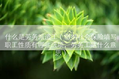 什么是劳务派遣工（缴纳社会保险填写职工性质有哪些选项，劳务工是什么意思）