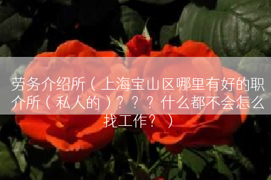 劳务介绍所（上海宝山区哪里有好的职介所（私人的）？？？什么都不会怎么找工作？）