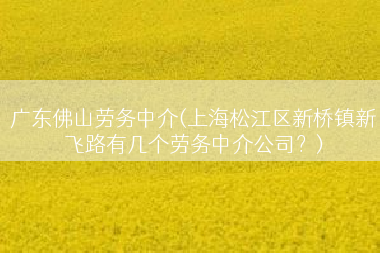 广东佛山劳务中介(上海松江区新桥镇新飞路有几个劳务中介公司？)