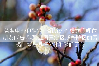 劳务中介和职业介绍所运作模式（哪位朋友能告诉我,上海嘉定区或普陀区的劳务市场在哪里?谢谢你们了,）