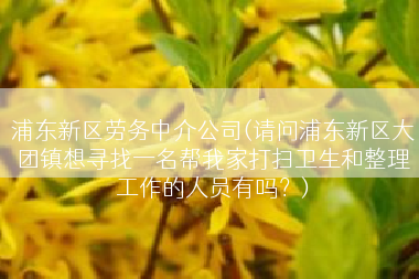 浦东新区劳务中介公司(请问浦东新区大团镇想寻找一名帮我家打扫卫生和整理工作的人员有吗？)