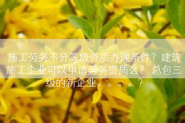 施工劳务不分等级资质办理条件？建筑施工企业可以申请劳务资质么？ 总包三级的新企业。。。。？