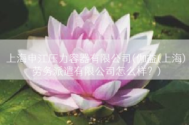 上海申江压力容器有限公司(伽益(上海)劳务派遣有限公司怎么样？)