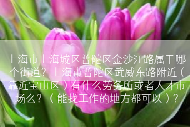 上海市上海城区普陀区金沙江路属于哪个街道？上海市普陀区武威东路附近（靠近宝山区）有什么劳务所或者人才市场么？（能找工作的地方都可以）？