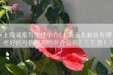 上海浦东写字楼中介(上海浦东新区有哪些好的可信度高的中介公司？？？急！！！)