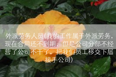 外派劳务人员(我的工作属于外派劳务，现在合同还不到期，但是公司分部不经营了公司不干了，把我们员工移交下届接手公司)