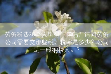 劳务税费和个人所得一样吗？请问劳务公司需要交那些税，税率是多少？公司是一般纳税人。？