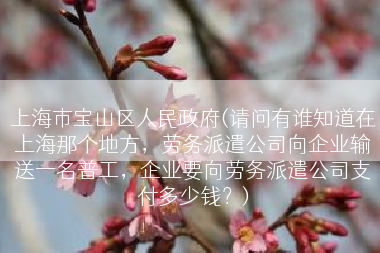 上海市宝山区人民政府(请问有谁知道在上海那个地方，劳务派遣公司向企业输送一名普工，企业要向劳务派遣公司支付多少钱？)