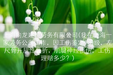 上海向龙建筑劳务有限公司(我在上海一家劳务公司工作，因工伤鉴定为9级，左尺骨开放性骨折，肌腱神经损伤，工伤理赔多少？)