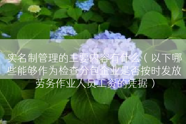 实名制管理的主要内容有什么（以下哪些能够作为检查分包企业是否按时发放劳务作业人员工资的凭据）