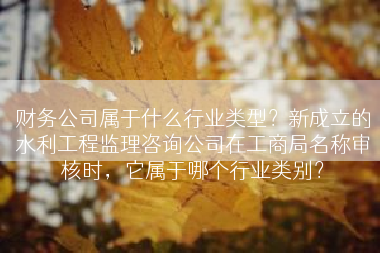 财务公司属于什么行业类型？新成立的水利工程监理咨询公司在工商局名称审核时，它属于哪个行业类别？