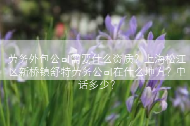 劳务外包公司需要什么资质？上海松江区新桥镇舒特劳务公司在什么地方？电话多少？