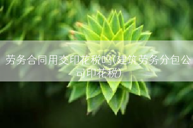劳务合同用交印花税吗(建筑劳务分包公司印花税)