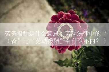 劳务报酬是什么意思（劳动法律中的“工资”与“劳动报酬”有什么不同？）