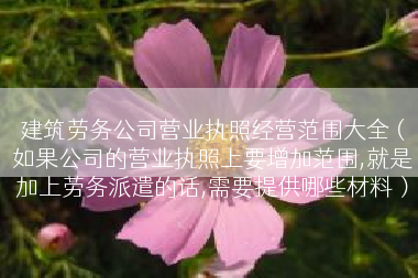建筑劳务公司营业执照经营范围大全（如果公司的营业执照上要增加范围,就是加上劳务派遣的话,需要提供哪些材料）