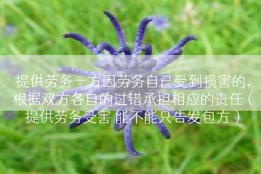 提供劳务一方因劳务自己受到损害的，根据双方各自的过错承担相应的责任（提供劳务受害 能不能只告发包方）