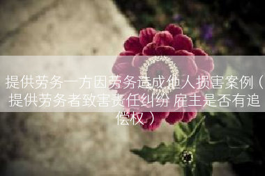 提供劳务一方因劳务造成他人损害案例（提供劳务者致害责任纠纷 雇主是否有追偿权）