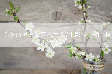 劳务服务方案范本大全?求影楼劳动合同的范本?