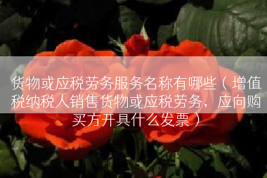 货物或应税劳务服务名称有哪些（增值税纳税人销售货物或应税劳务，应向购买方开具什么发票）