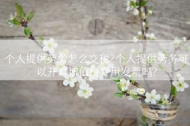 个人提供劳务怎么交税?个人提供劳务可以开具增值税专用发票吗?