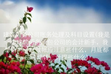 建筑劳务公司账务处理及科目设置(我是一个建筑劳务承包公司的会计新手，我想请问平时做帐应注意些什么，月底都应该结转、计提些什么)
