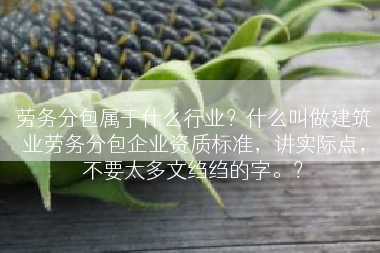 劳务分包属于什么行业？什么叫做建筑业劳务分包企业资质标准，讲实际点，不要太多文绉绉的字。？