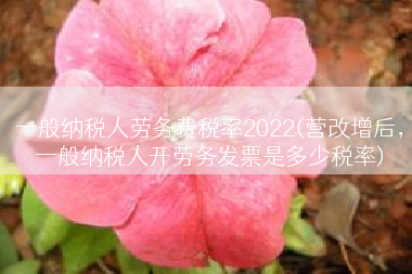 一般纳税人劳务费税率2022(营改增后，一般纳税人开劳务发票是多少税率)