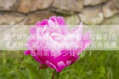 重庆国际劳务培训中心有限公司骗子(在重庆开一家人力资源公司或者劳务派遣公司需要多少钱啊？)