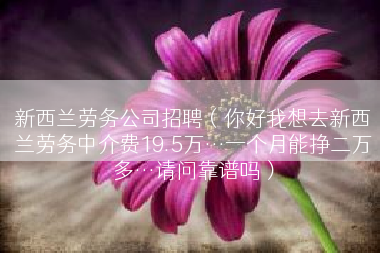 新西兰劳务公司招聘（你好我想去新西兰劳务中介费19.5万…一个月能挣二万多…请问靠谱吗）