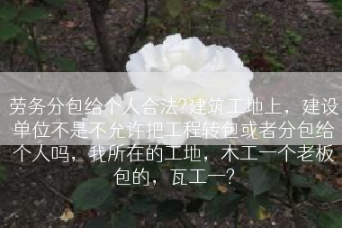 劳务分包给个人合法?建筑工地上，建设单位不是不允许把工程转包或者分包给个人吗，我所在的工地，木工一个老板包的，瓦工一?