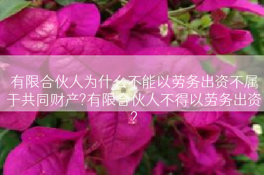有限合伙人为什么不能以劳务出资不属于共同财产?有限合伙人不得以劳务出资?